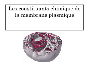Les constituants chimique de la membrane plasmique