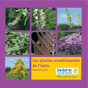 Les plantes envahissantes de l`Isère