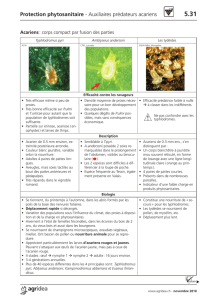 Protection phytosanitaire - Auxiliaires prédateurs acariens