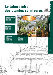 Le laboratoire des plantes carnivores PDF