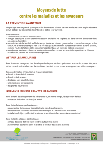 Moyens de lutte contre les maladies et les - tournesol