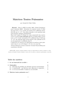 Matrices Toutes Puissantes - Site Personnel de Arnaud de Saint Julien