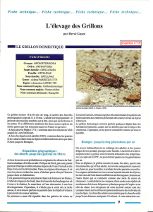 L`élevage des grillons / Insectes n° 58