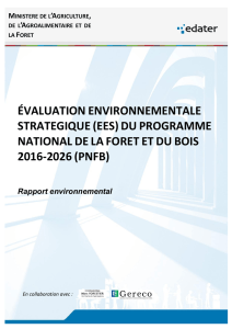 Rapport environnemental stratégique du PNFB