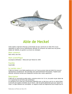 Able de Heckel - Fédération de Pêche de Côte-d`Or