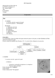 Juliette Phélip AIH Pr. RANQUE 16 pages Ectoparasites