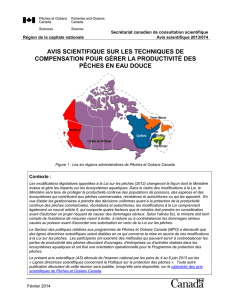 Visualiser le document complet en format PDF