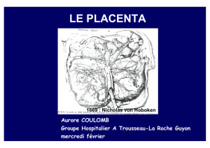 DES placenta 4fev2009