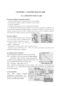 chapitre 3 – systeme musculaire