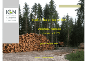 Stock et flux de bois en forêt