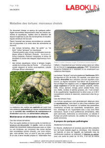 Maladies des tortues PDF