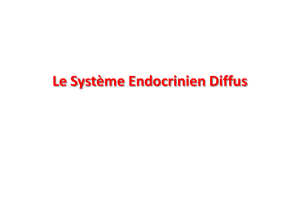 systeme endocrinien diffus