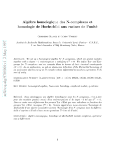 Alg\ebre homologique des N-complexes et homologie de