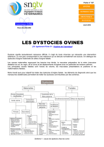 Dystocies - Nouvelle page 1