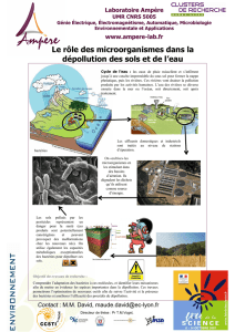 le rôle des microorganismes dans la dépollution des sols et de l`eau