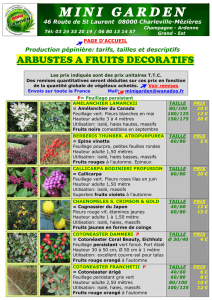MINI GARDEN site janv 17 TARIF 09 Arbustes à fruits décora…