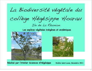 La Biodiversité végétale du collège Hégésippe Hoarau