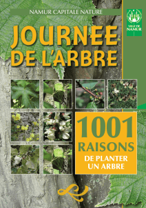 1001 raisons de planter un arbre - Novembre 2008