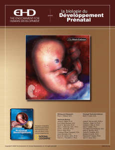 The Biology of Prenatal Development (French Script)
