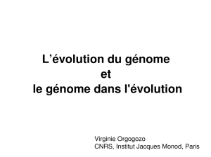 L`évolution du génome et le génome dans l