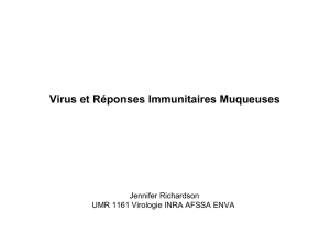 Virus et Muqueuses