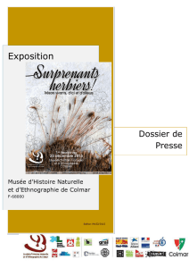 Exposition - Musée d`Histoire Naturelle et d`Ethnographie de Colmar