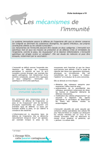 Les mécanismes de l`immunité