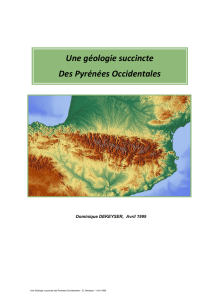 Une géologie succincte Des Pyrénées Occidentales