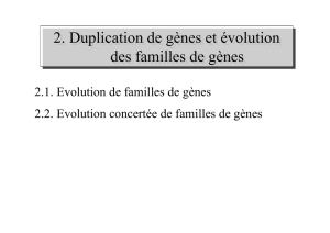 Duplication de genes