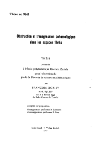 Obstruction et transgression cofiomologique - ETH E