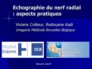 Echographie du nerf radial : aspects pratiques