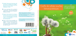 Greffe de cellules souches hématopoïétiques - SFGM-TC