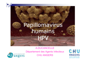 2015-Gericco-Tests-HPV-urinaires-Ducancelle