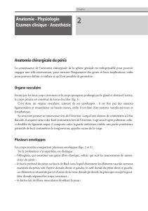 Anatomie - Physiologie Examen clinique - Anesthésie - Beck-Shop