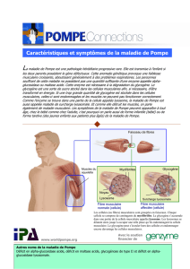 Caractéristiques et symptômes de la maladie de Pompe