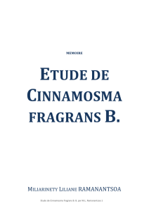 etude de cinnamosma fragrans b.