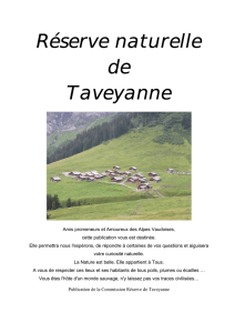 Réserve naturelle de Taveyanne