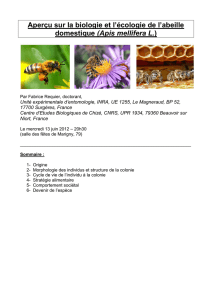Aperçu sur la biologie et l`écologie de l`abeille domestique (Apis