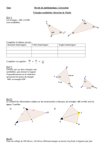 Nom : Devoir de mathématique / Correction Triangles semblables