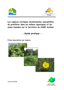Rapport mthodologique sur chaque espce - Gt-ibma