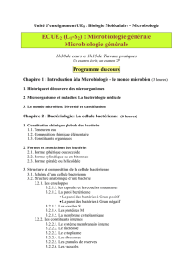 Microbiologie-Biologie moléculaire