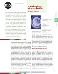Mitochondries et reproduction - iPubli