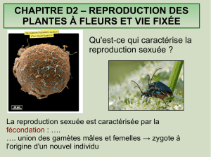 CHAPITRE D2 – REPRODUCTION DES PLANTES À FLEURS ET