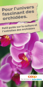 Pour l`univers fascinant des orchidées.