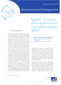 Egypte : les impacts économique et financier d`une