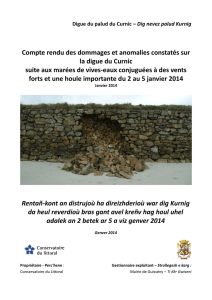 Compte rendu des dommages et anomalies constatés