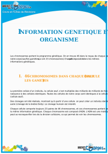 information genetique et organisme