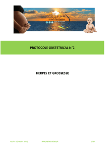 PROTOCOLE OBSTETRICAL N°2 HERPES