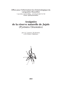 Araignées de la réserve naturelle de Jujols (Pyrénées Orientales)