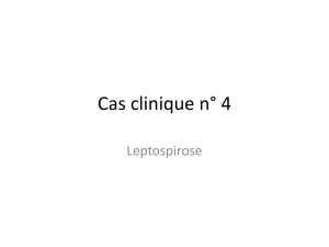 Cas clinique : Leptospirose